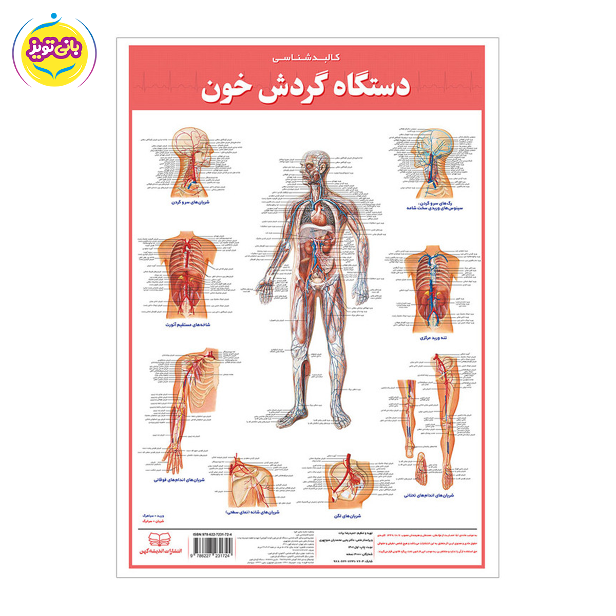 پوستر آموزشی دستگاه گردش خون برند آموزشی اندیشه کهن