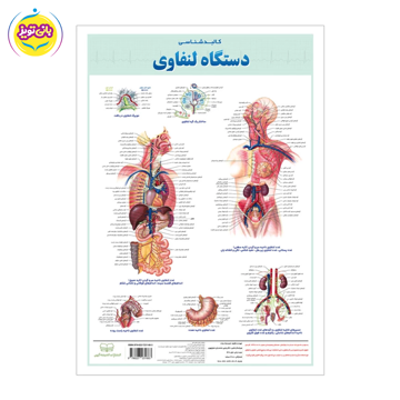 پوستر آموزشی دستگاه لنفاوی برند آموزشی اندیشه کهن