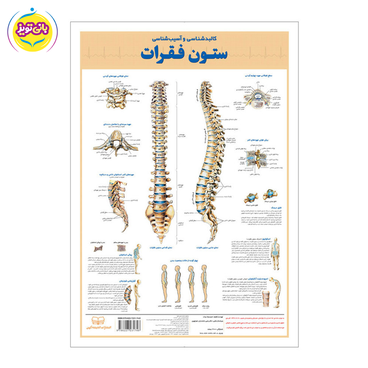 پوستر آموزشی ستون فقرات برند آموزشی اندیشه کهن