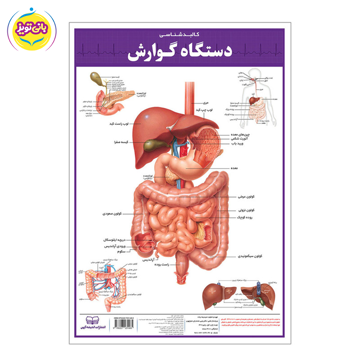 پوسترآموزشی دستگاه گوارش برند آموزشی اندیشه کهن