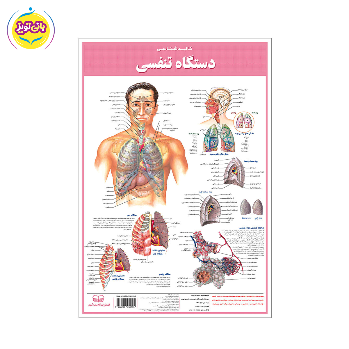 لوازم آموزشی کالبد شناسی تنفسی برند آموزشی اندیشه کهن